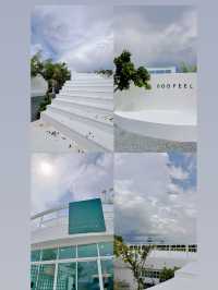 DOOFEEL Soft opening คาเฟ่เปิดใหม่ย่านวัดร่องขุ่น