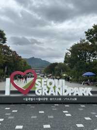 Cloudy Day Dream☁️