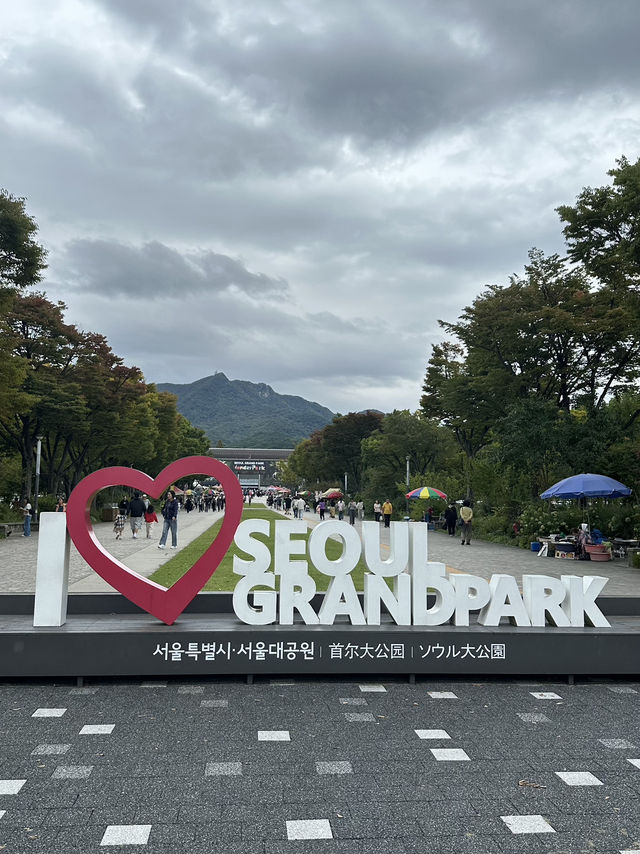 Cloudy Day Dream☁️