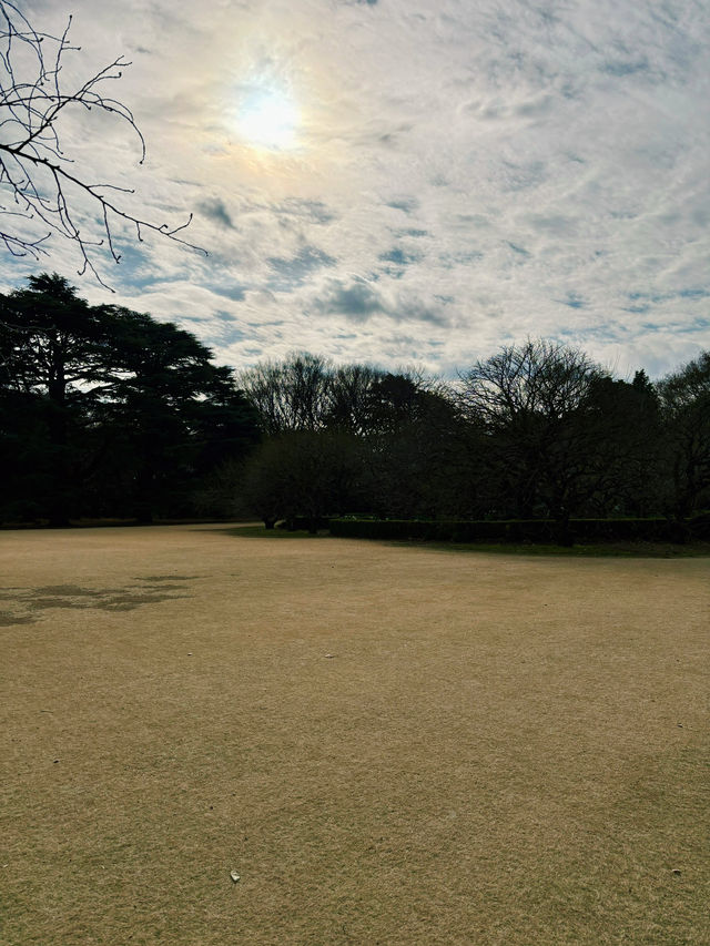 Blooming Escape at Shinjuku Gyoen 🌷