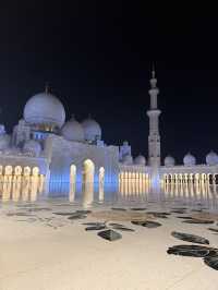 Arabian Royal Wonders👑