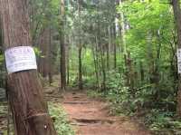 【福井・鬼ヶ嶽⛰】越前の絶景を一望！パワースポット登山
