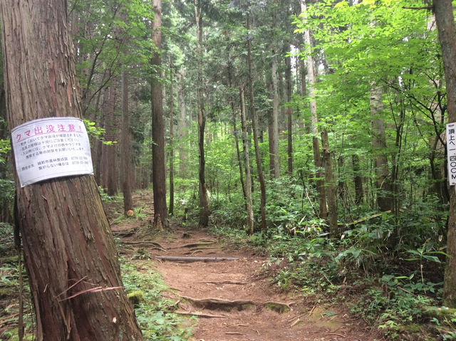 【福井・鬼ヶ嶽⛰】越前の絶景を一望！パワースポット登山