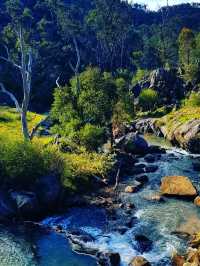 🌿 Gooseberry Hill National Park – Perth’s Hidden Gem on a Hill