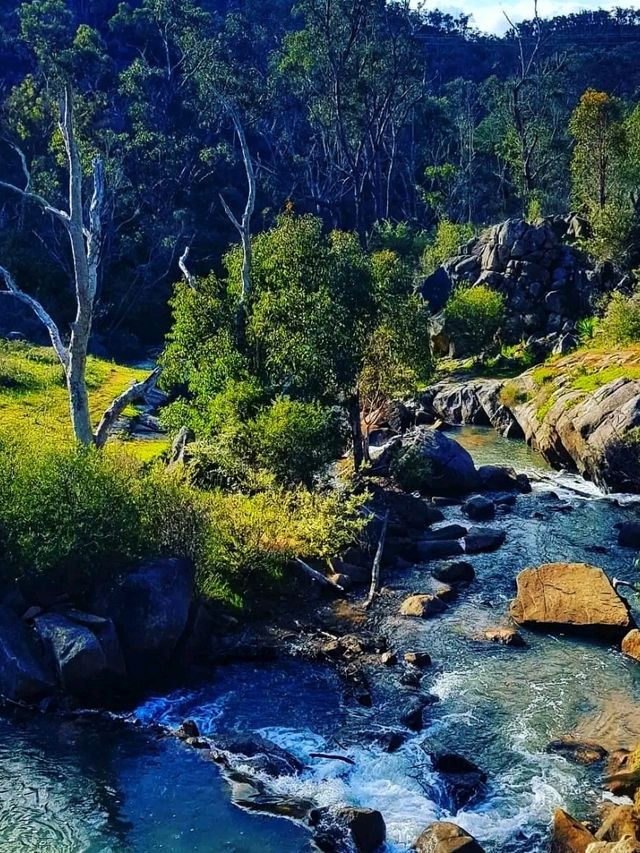 🌿 Gooseberry Hill National Park – Perth’s Hidden Gem on a Hill