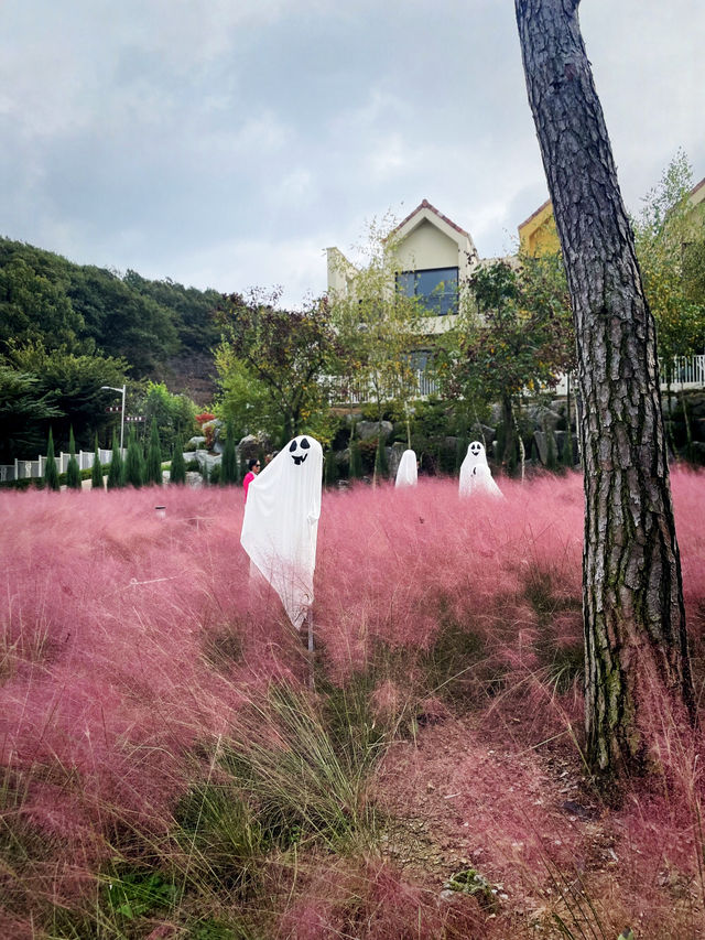 할로윈을 즐겨요, 용인자작나무 숲👻