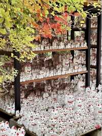 🍁 Autumn Serenity at Gotokuji Temple