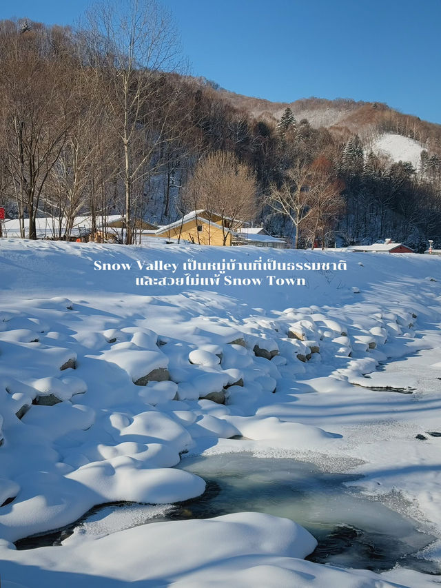 เที่ยว Snow Valley (Harbin) เดือนธันวาคม