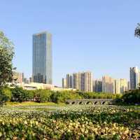 Reaching for the Sky: Ganzhou’s Modern Architecture 🌇🏙️✨