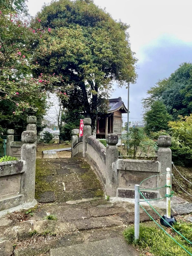 Power Spot in Ibaraki: Sakaikatori Shrine and a Stroll Through the Town  Power Spot in Ibaraki: Sakaikatori Shrine and a Stroll Through the Town