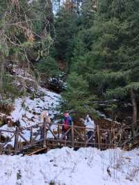 "Flying Dragon's Cascade": A Dynamic Winter Spectacle