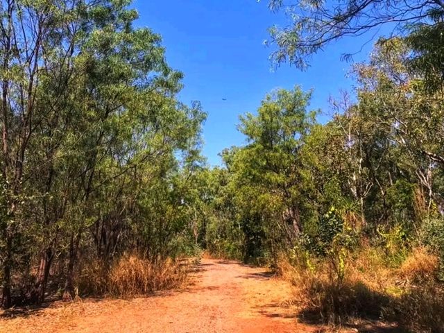 🌿🦋 Charles Darwin National Park – Where Nature Meets History 🌿🦋 Charles Darwin National Park – Where Nature Meets History
