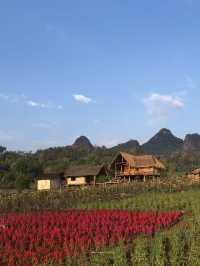 ไร่ภูผาหมวก : โฮมสเตย์เชียงใหม่กลางหุบเขาดอกไม้