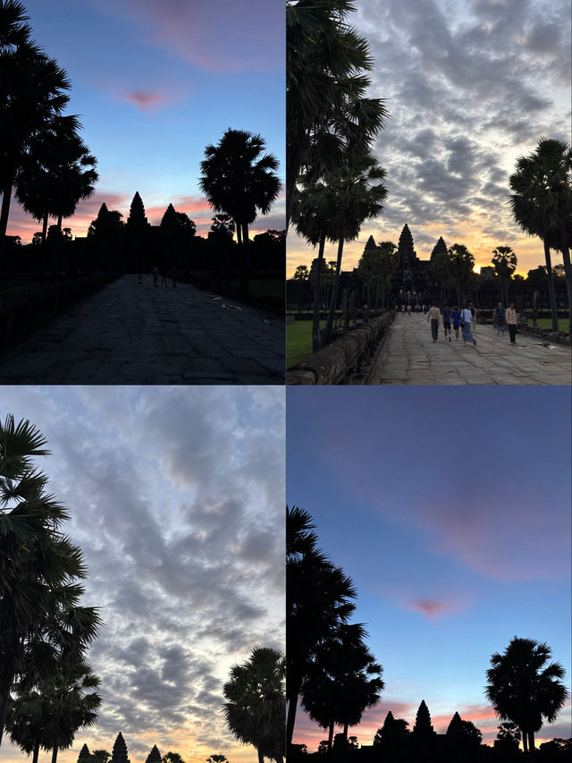 Days in Siem Reap 🇰🇭