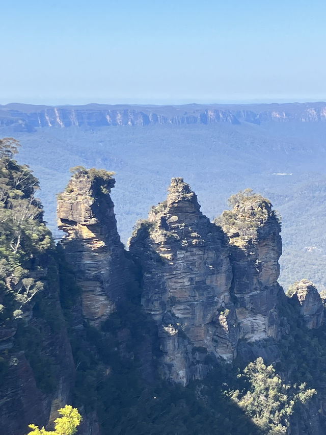 【オーストラリア・ニューサウスウェールズ州】大自然の絶景を感じる「ブルー・マウンテンズ」🏞️🌿🌄