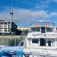 【ニュージーランド】北島3泊5日モデルプラン🇳🇿