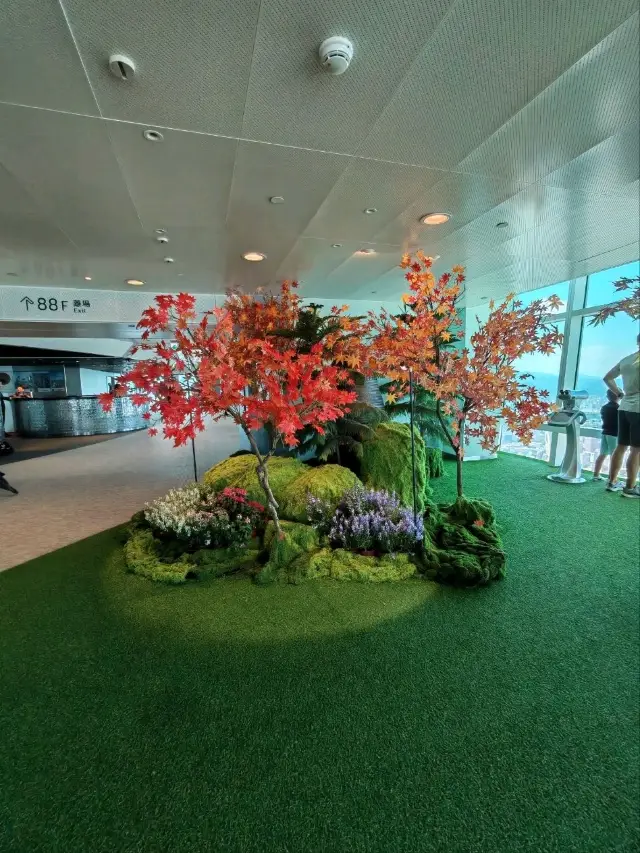 Taipei Autumn Magic🍁