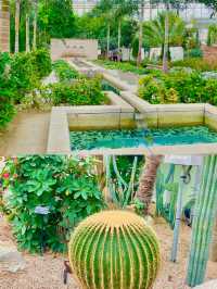 키치조지에서 우연히 찾은 도심 속 식물원 🌿