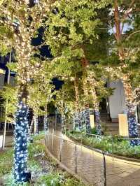 🎄Tokyo Skytree Town Dream Christmas 2025