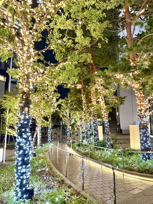 🎄Tokyo Skytree Town Dream Christmas 2025