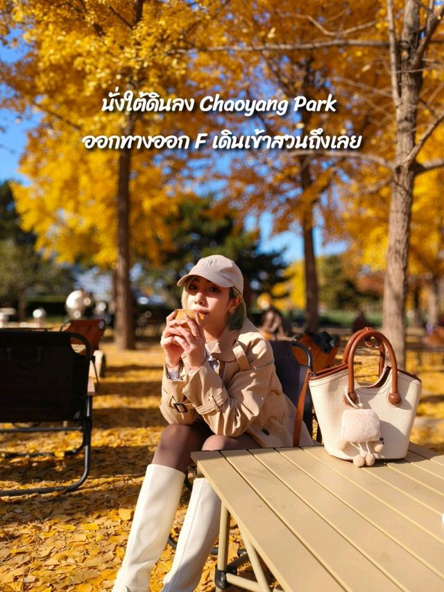 คาเฟ่ดูใบไม้เปลี่ยนสีลับๆในปักกิ่ง🍂☕