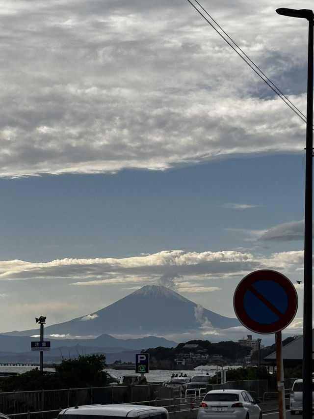 도쿄 4박5일 여행기 도쿄 4박5일 여행기