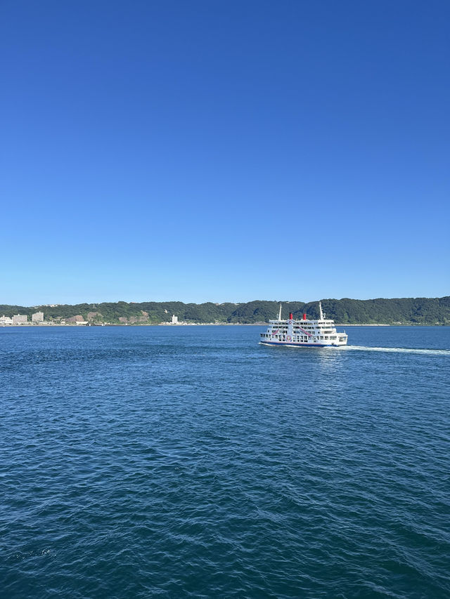 🚢 【1時間半で完結!朝イチ🌋桜島プラン】 🚢 【1時間半で完結!朝イチ🌋桜島プラン】