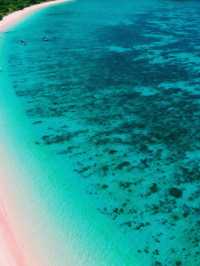 印尼🇮🇩科莫多島繽紛色彩