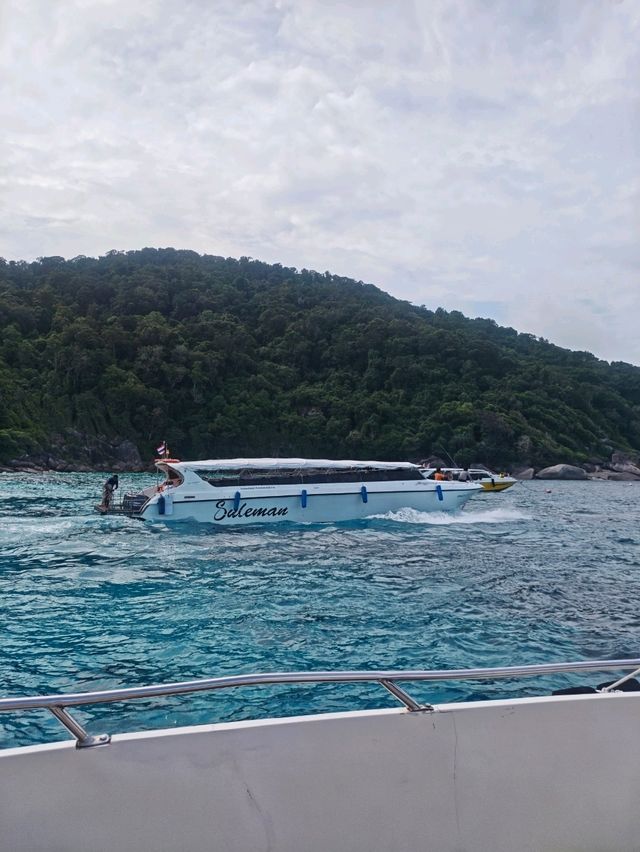 Pulau Payar: Crystal Clear Vibes & Chill Beach Adventures 🏝️✨