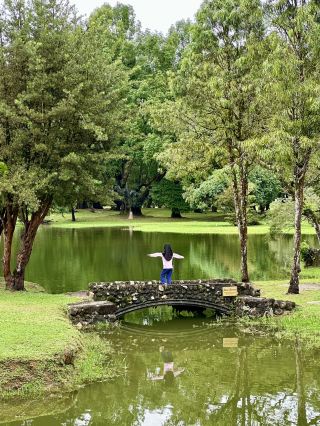 Heritage Greenscape of Taiping’s Charm
