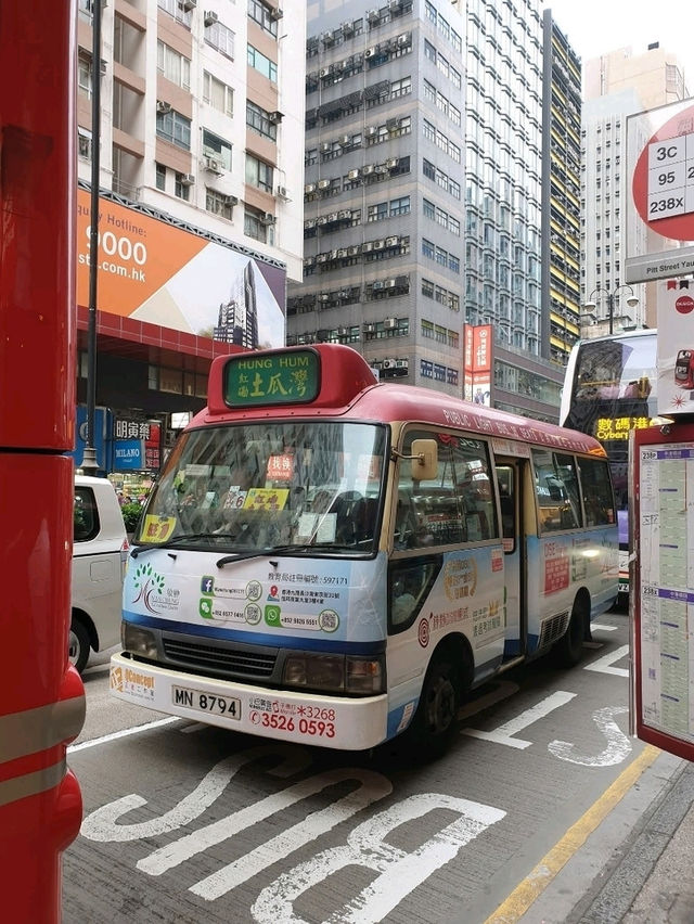 Why Hong Kong Is My Ultimate Foodie Paradise 🇭🇰🔥