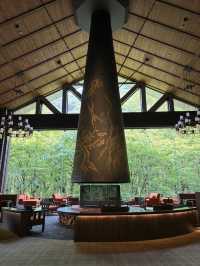 星野 奧入瀨溪流