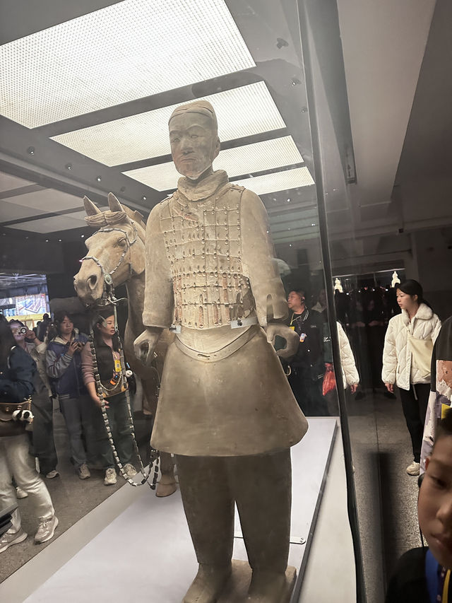 日落雲霧裡的貓影西安 日落雲霧裡的貓影西安