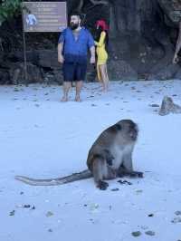 皮皮島、瑪雅灣、猴子島、Khai島:普吉海上四大夢幻景點一次玩到飽