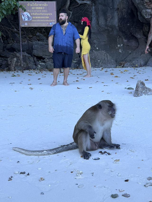 皮皮島、瑪雅灣、猴子島、Khai島:普吉海上四大夢幻景點一次玩到飽 皮皮島、瑪雅灣、猴子島、Khai島:普吉海上四大夢幻景點一次玩到飽