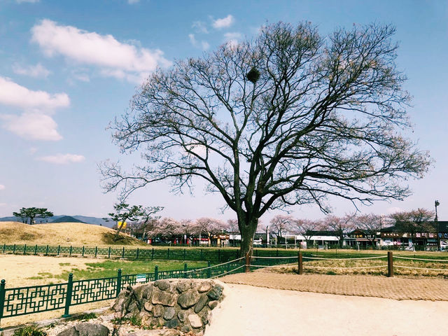 韓國🇰🇷 瞻星台 韓國🇰🇷 瞻星台