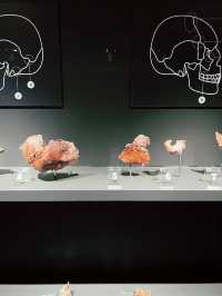 Archaeology Sarawak Gallery – Must-Visit at Borneo Cultures Museum