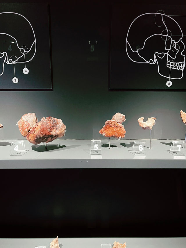 Archaeology Sarawak Gallery – Must-Visit at Borneo Cultures Museum