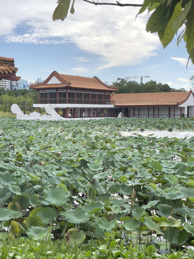 新加坡裕華園散策