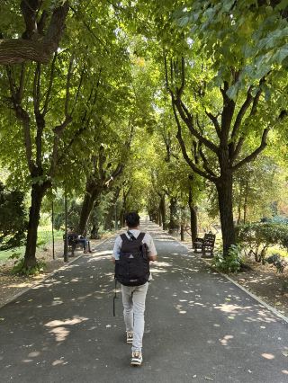 🌿 CIȘMIGIU GARDENS – BUCHAREST