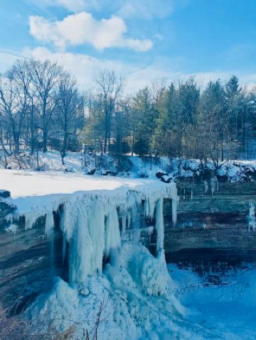 北方沼澤：冬日綠洲