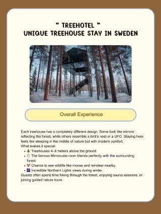 🌳 โรงแรมต้นไม้ – ที่พักบนต้นไม้ที่ไม่เหมือนใครในสวีเดน