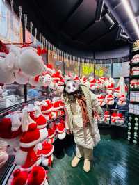 Central Street Charms🐇 at Harbin, Xiao Ke Courtyard