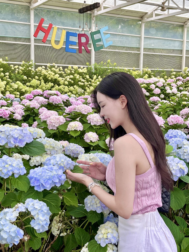 제주 휴애리 📸 사진만 보다가 스케일에 깜짝 놀란 현실 이유 💥