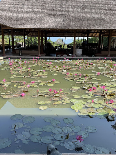 Peaceful Luxury in the Rainforest | Trip.com Langkawi