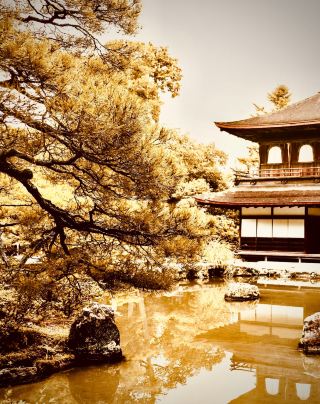 鴨川的早市和沿海步道