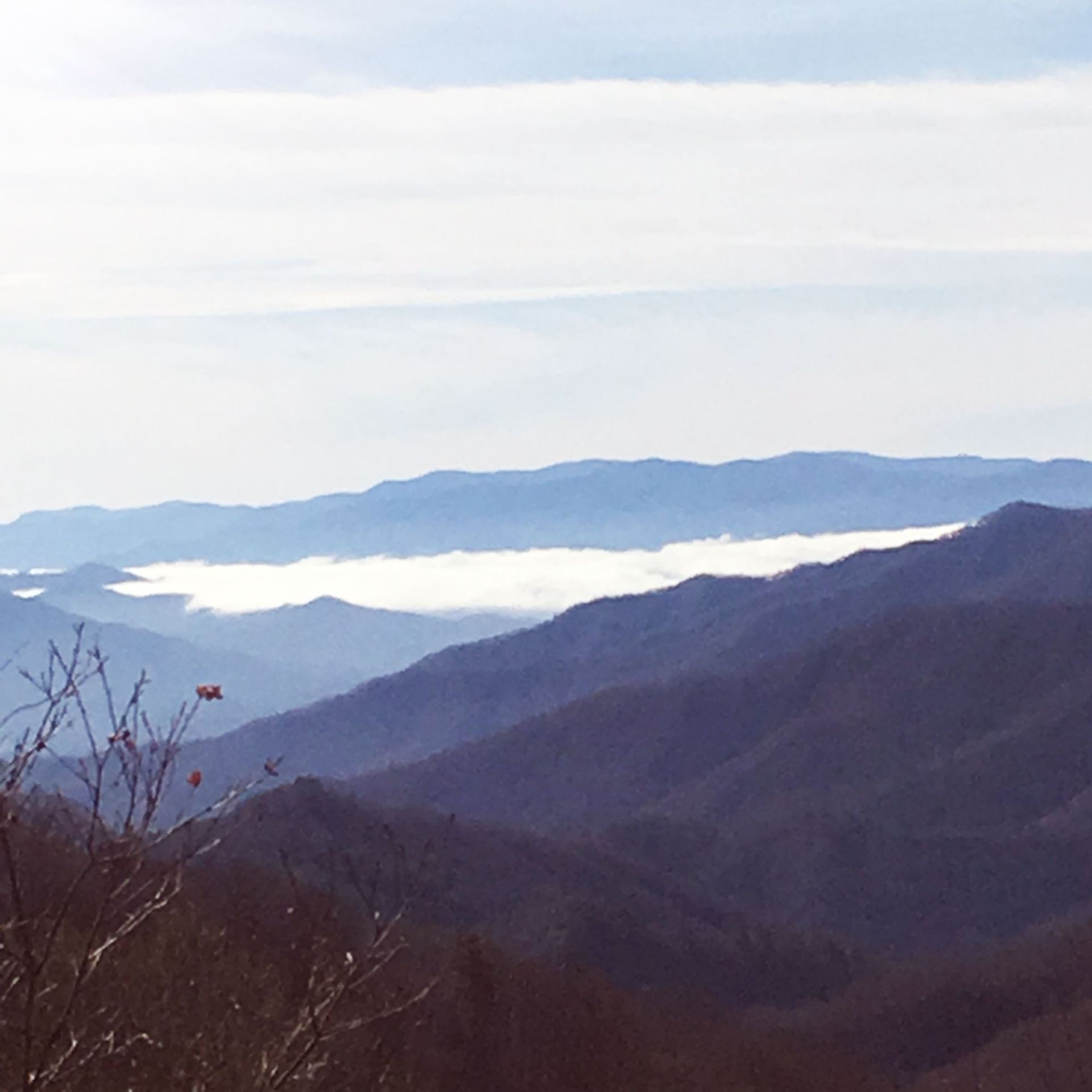 🌄 From Hong Kong to the Smokies – A Southern American Adventure