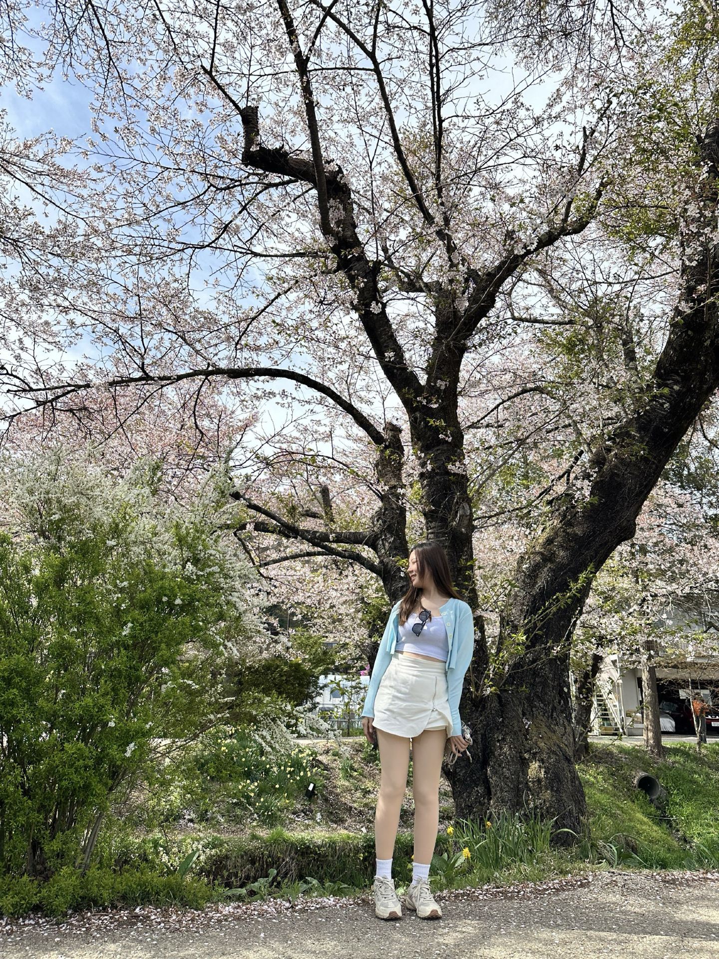 도쿄 여행이 단돈 RM1,504?! 🗼