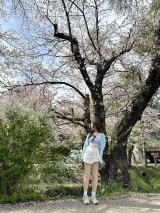🇯🇵✈️東京只需 RM1,504? !