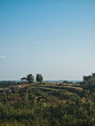 The shortest hike can sometimes surprise you the most 🌿⛰️
